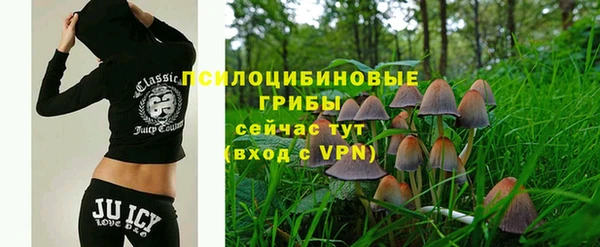 Альфа ПВП Арсеньев