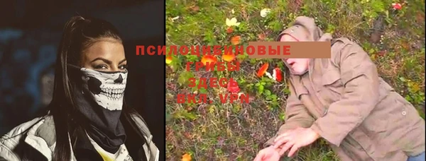 Альфа ПВП Арсеньев